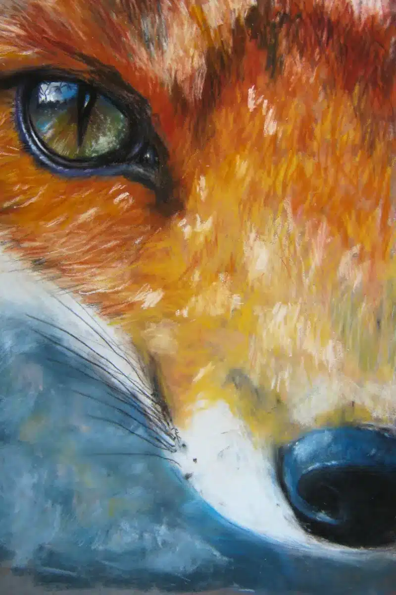 Pastellbild Fuchsgesicht in Nahaufnahme – Christiane Odefey