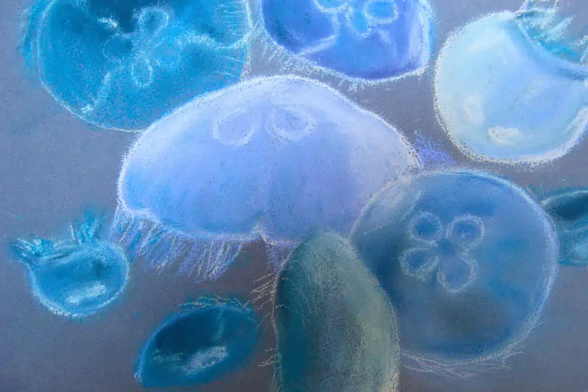 Pastellbild Quallen in Grau und Blau – Christiane Odefey