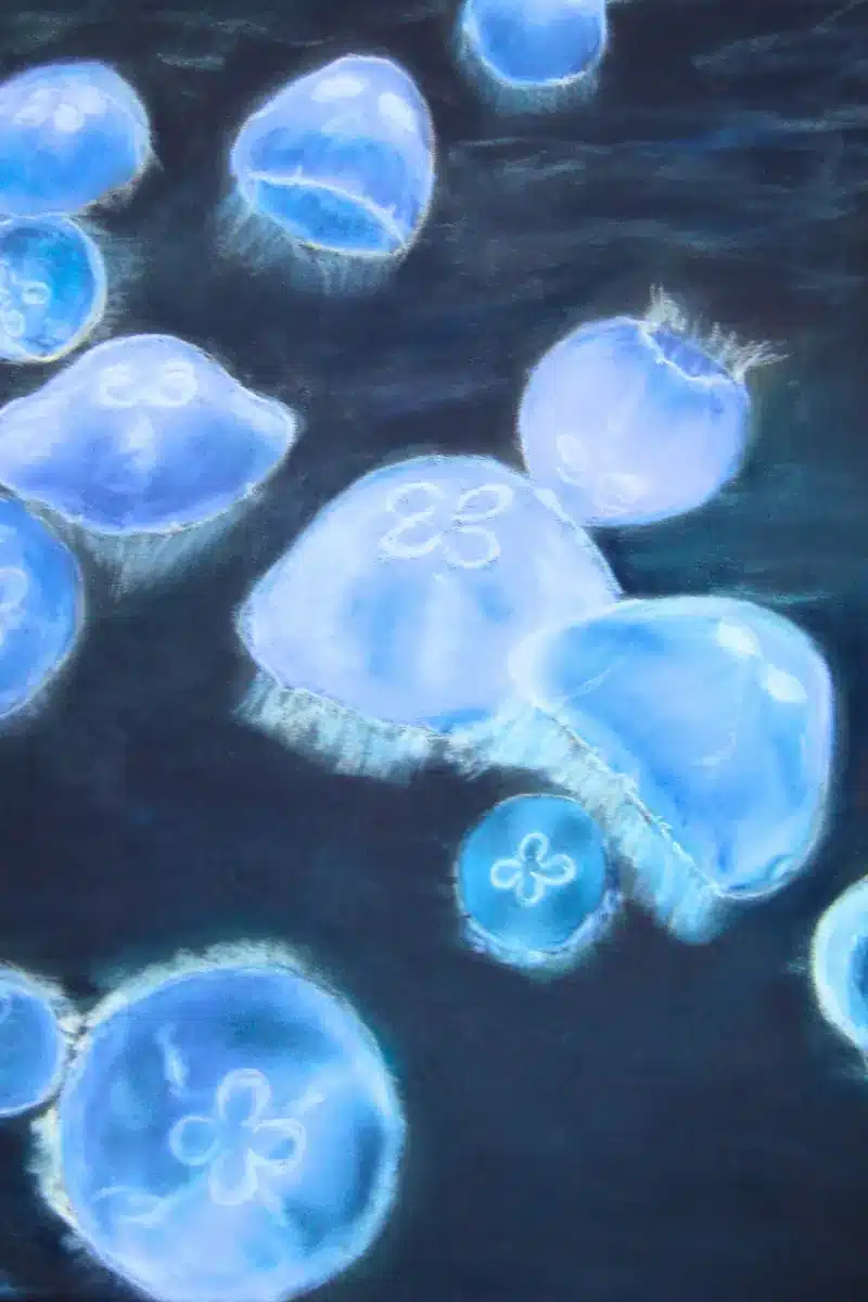 Pastellbild Quallen in Schwarz und Blau – Christiane Odefey
