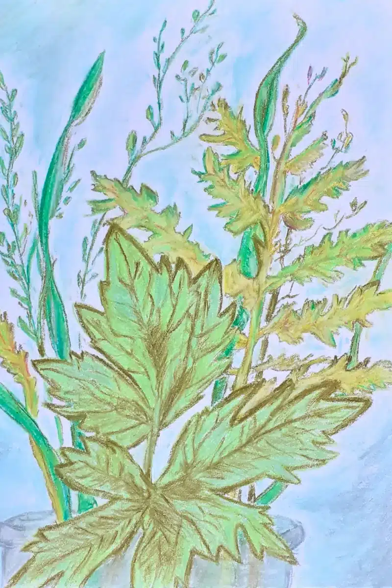 Pastellbild Pflanzenstrauß – Susanne Odefey