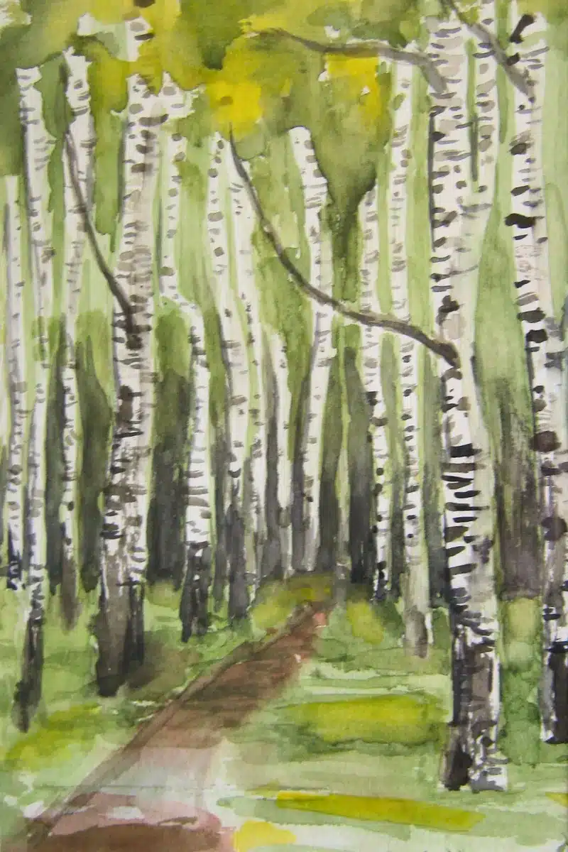 Aquarell Waldweg mit Birken – Christiane Odefey