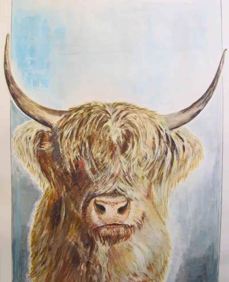Gouache Porträt Hochlandrind – Susanne Odefey