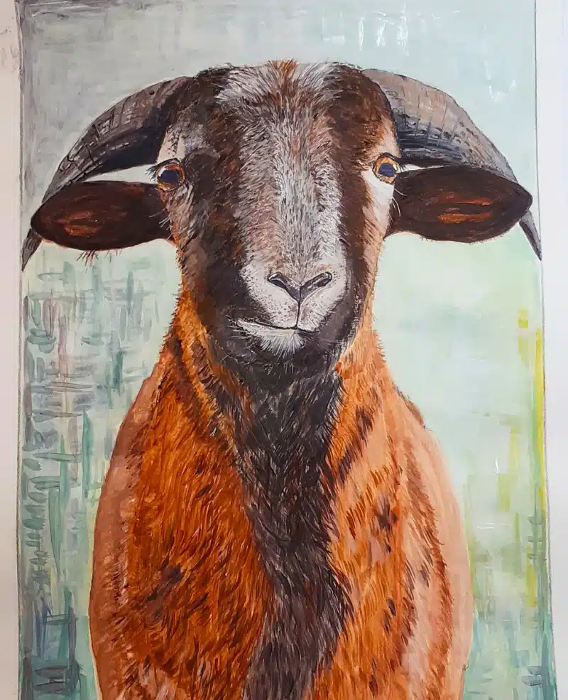 Gouache Porträt einer Ziege – Susanne Odefey