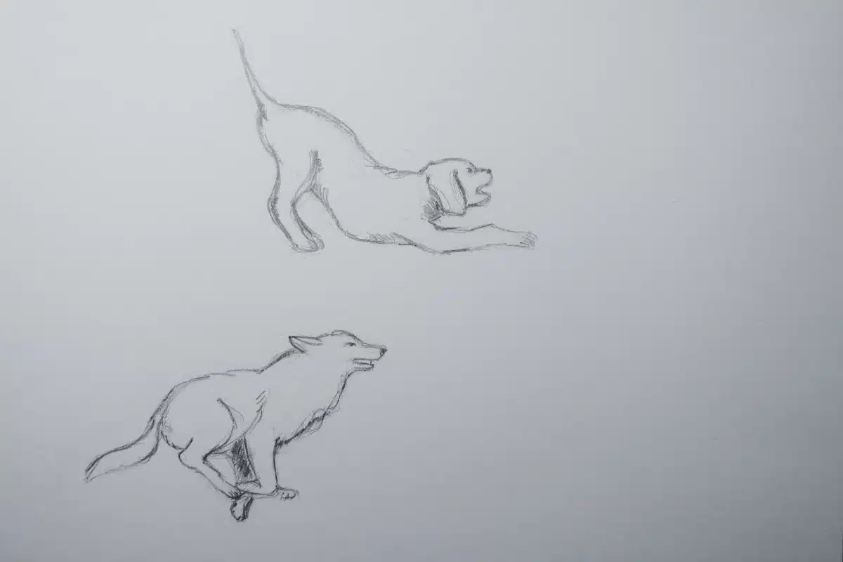 Bleistiftskizze Hund und Wolf – Susanne Odefey
