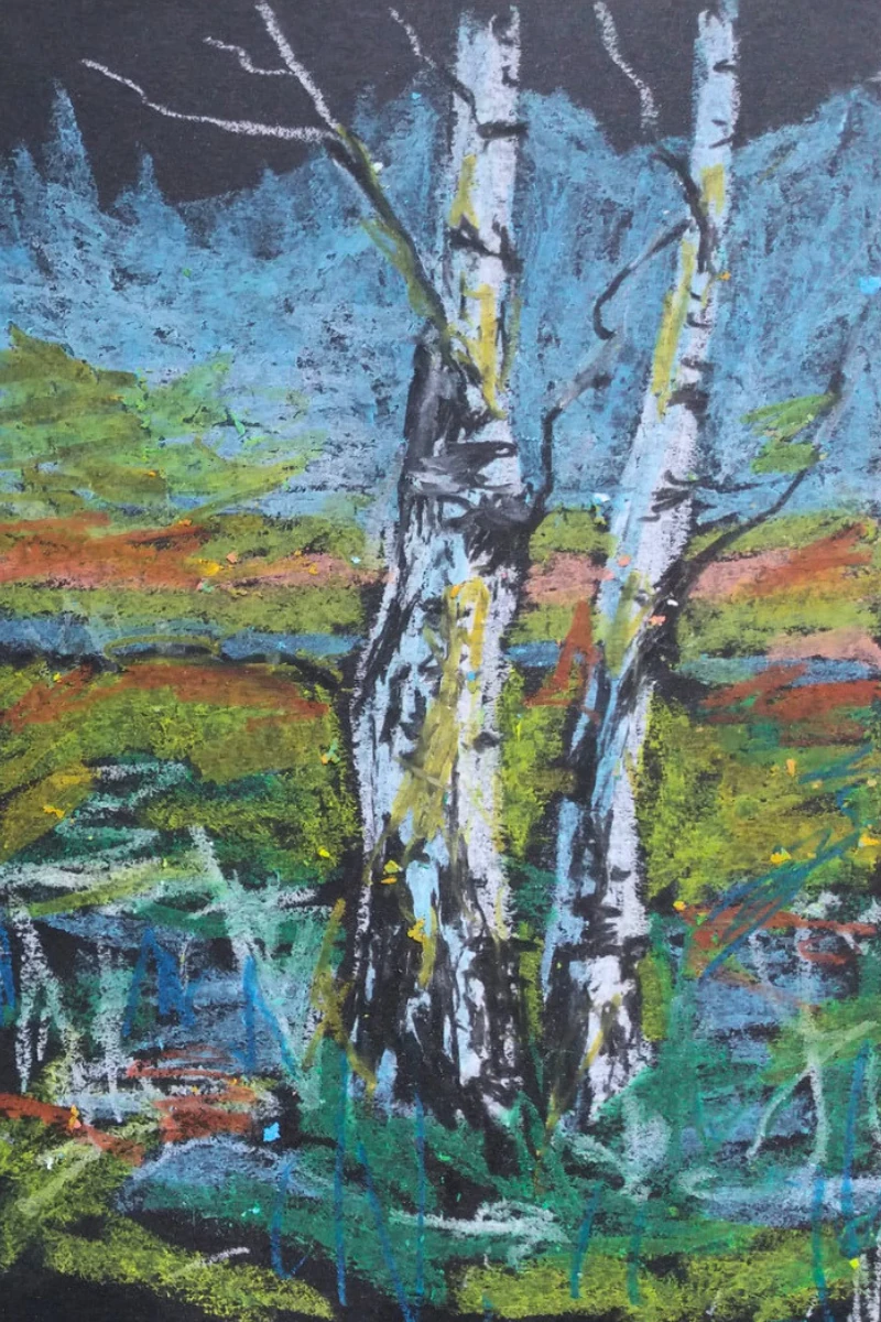 Ölpastellbild Birken – Christiane Odefey
